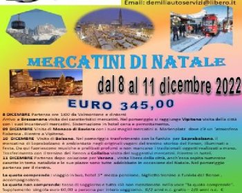 https://www.demiliatravelservices.it/immagini_pagine/660/mercatini-di-natale-in-trentino-e-germania-660-1007-600.jpg